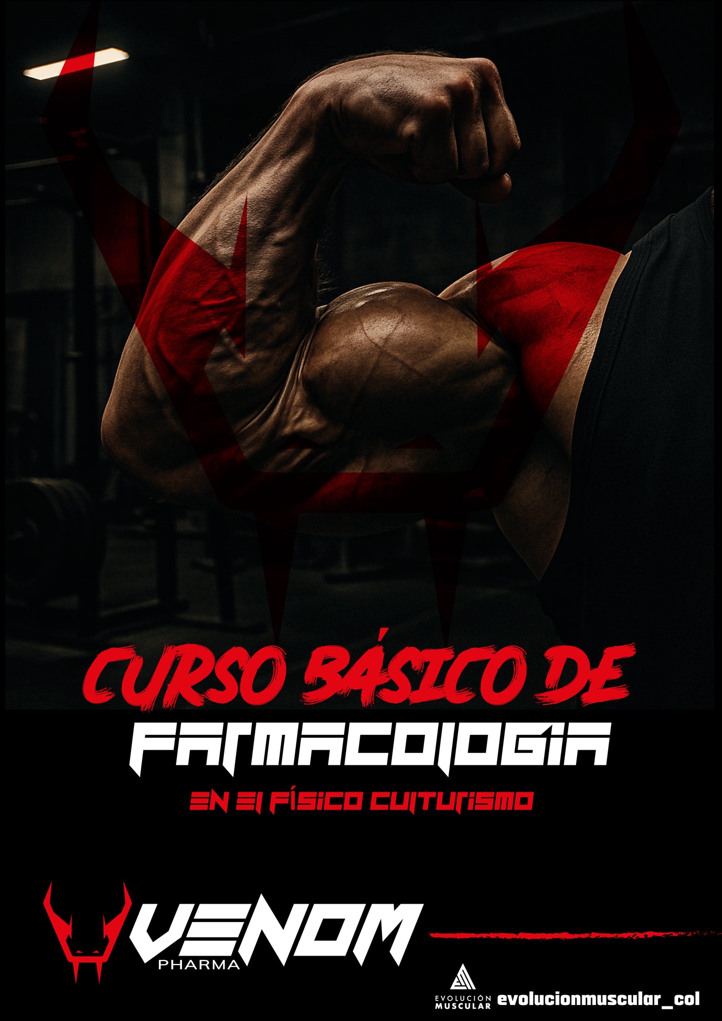 Curso Básico de Farmacología en el Fisicoculturismo: Aprende antes de decidir